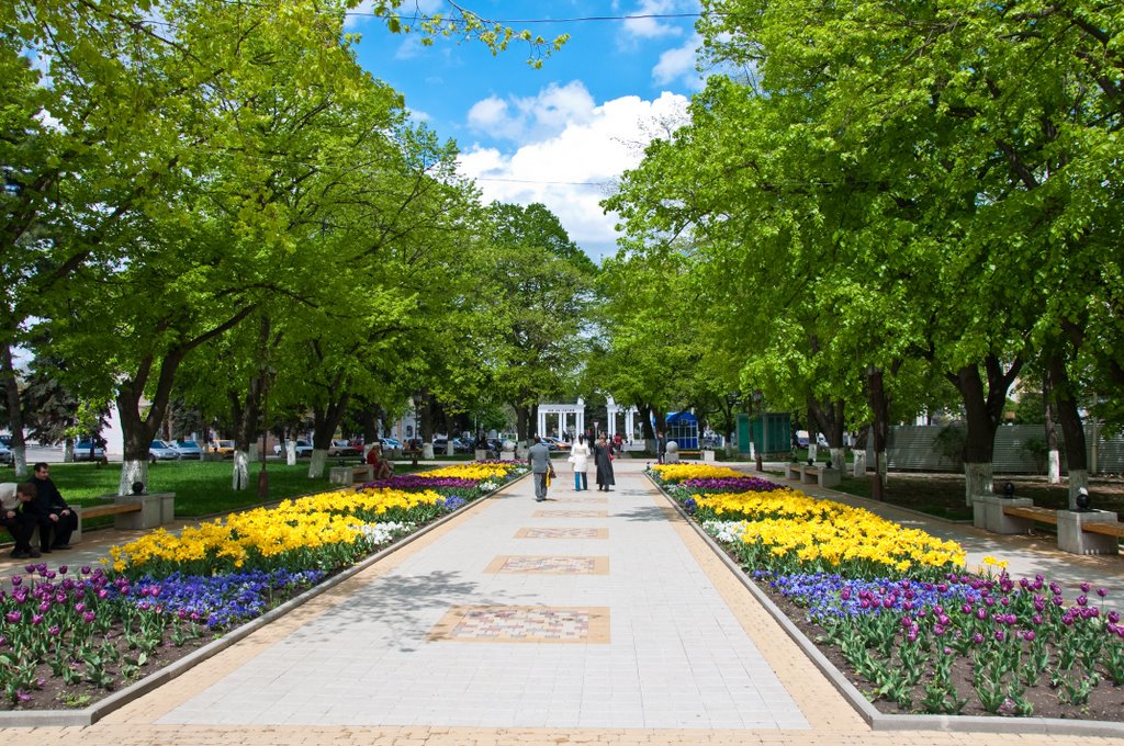 Город армавир краснодарский край. Армавир парк. Городской парк г Армавир. Кубань город Армавир. Армавир Краснодарский край парки.