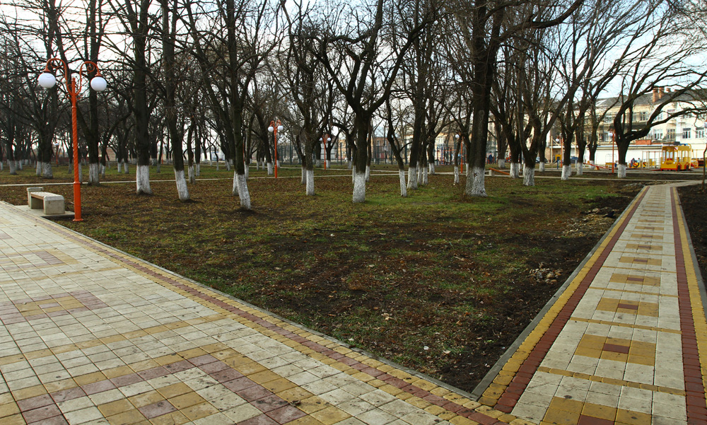 Городская роща армавир фото