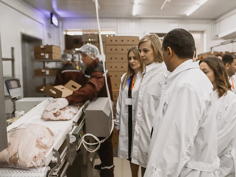 Кубанский мясокомбинат приступил к реализации национального проекта «Производительность труда»