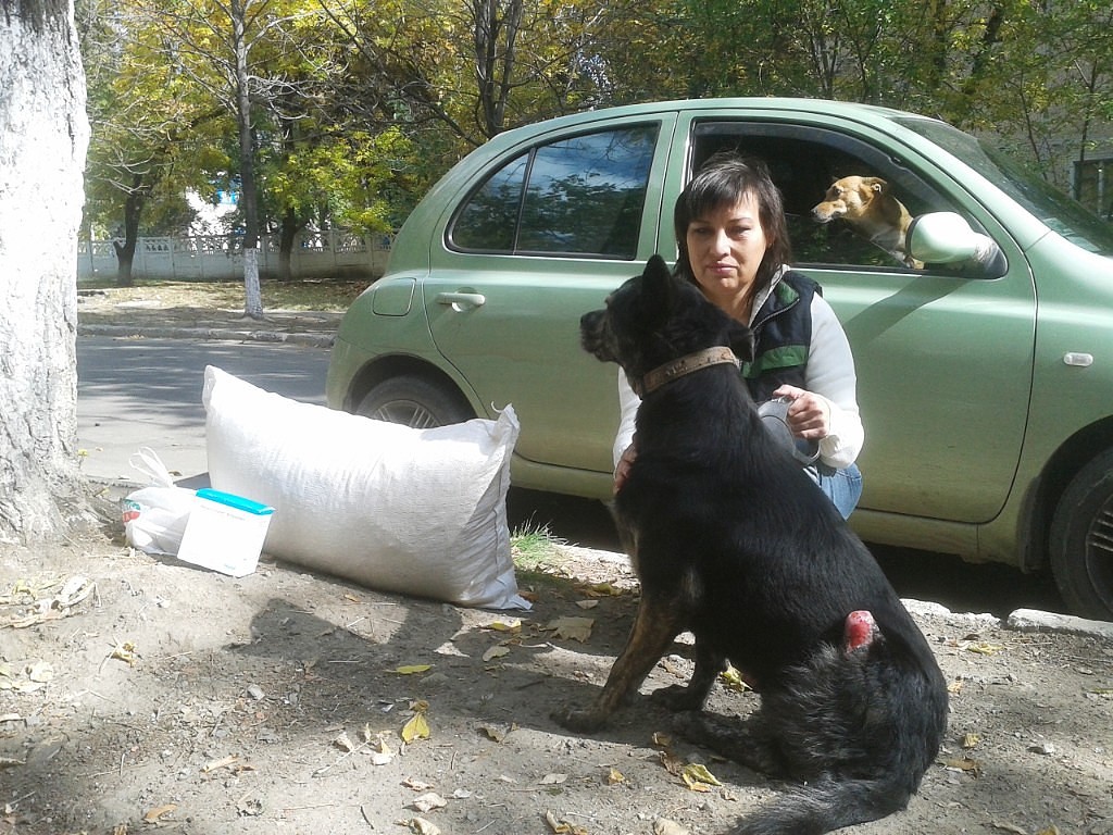 На Донбассе много брошенных и потерянных животных, и они спасают людей во время прилетов