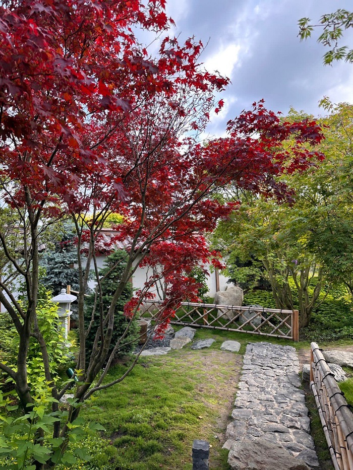 Японский сад. Пешеходная медитация