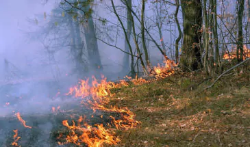 В Армавире наступил пожароопасный сезон