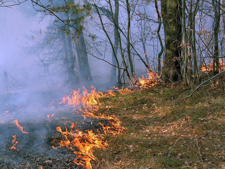 В Армавире наступил пожароопасный сезон