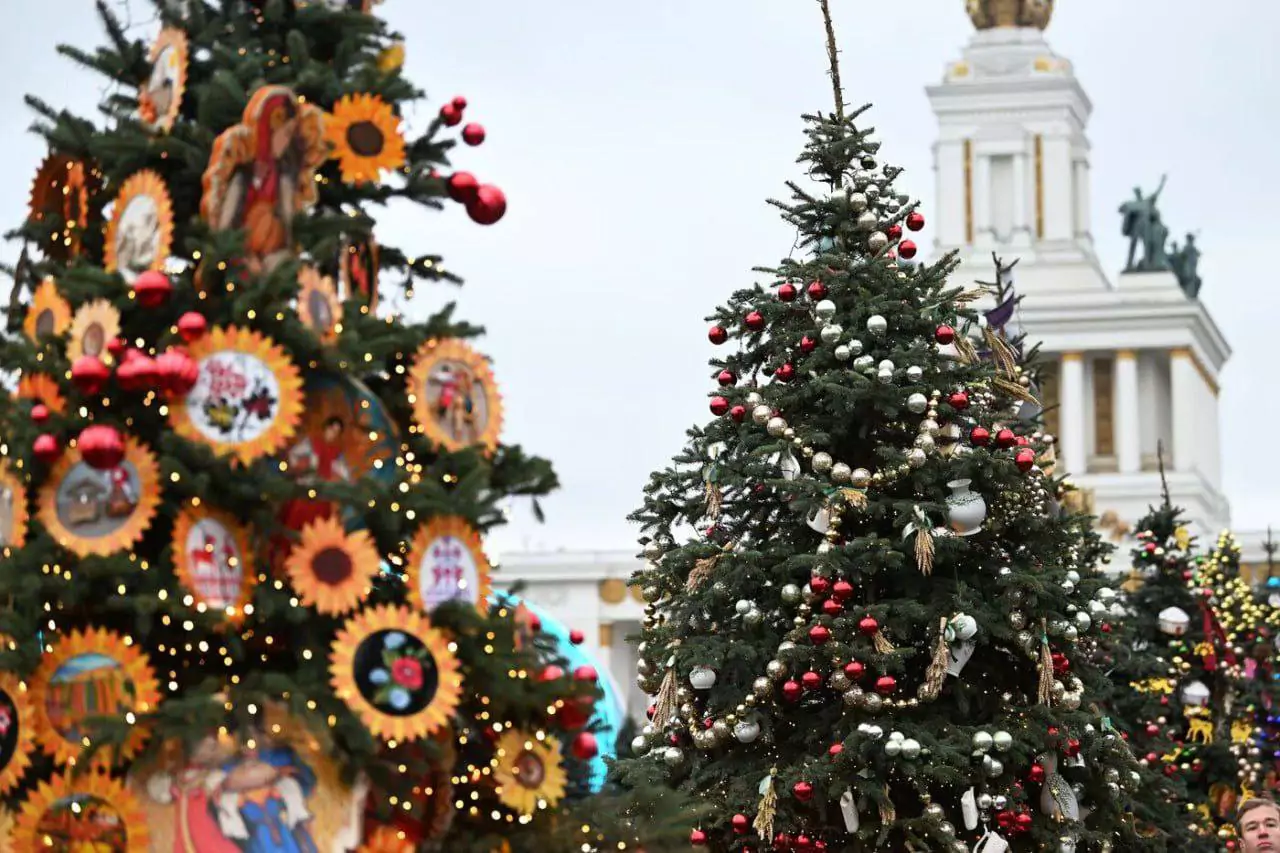 На главной аллее ВДНХ, в рамках выставки «Россия», начали украшать ели