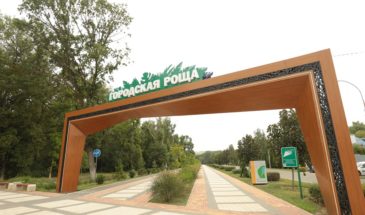 В Городской роще установят комплекс бассейнов