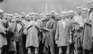 Русский командир «Лесной волк»: акция памяти прошла в армавирском музее