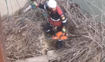 Армавирские спасатели расчистили от деревьев, затонувших в воде, опоры моста через Уруп