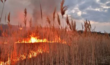 Пожароопасный период объявлен в Армавире