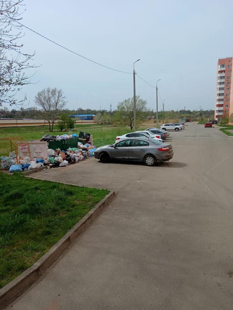 Из-за автомобилистов не смогли вывезти мусор с проспекта Авиаторов