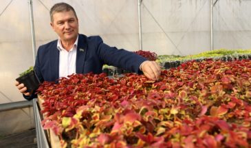 У армавирского музея — новая экспозиция