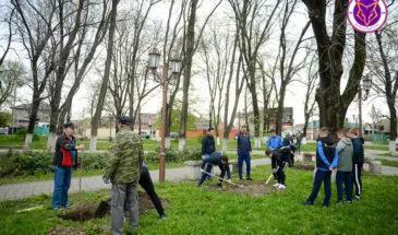 ФК «Армавир» и компания «Аполинария» высадили деревья в сквере