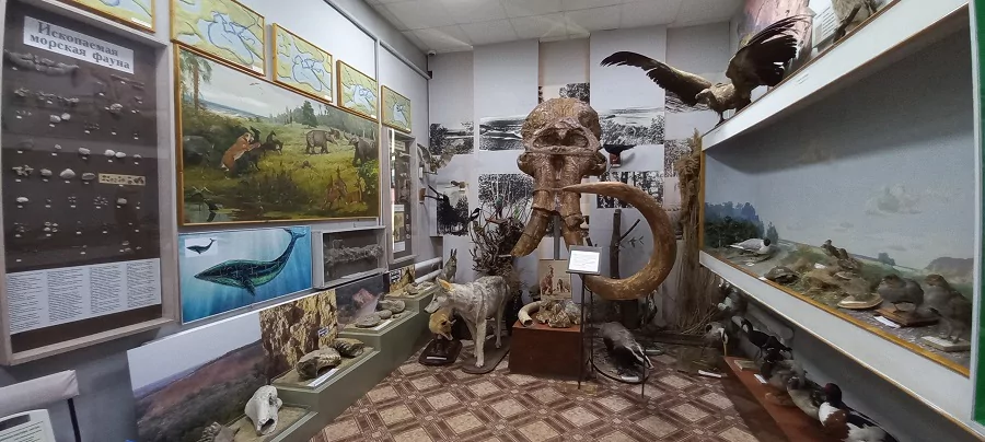 Армавирский краеведческий музей получил новое оборудование