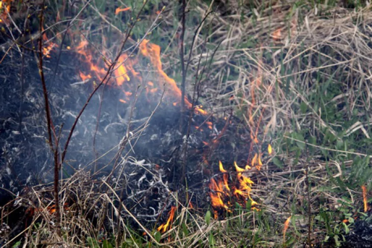 Сжигать ­мусор и ­сухую траву в Армавире запрещено
