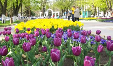 В Армавирском ГДК пройдет Первый региональный форум ландшафтного дизайна