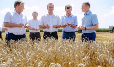 Урожай зерновых, зернобобовых и риса на Кубани составил 14,5 млн тонн