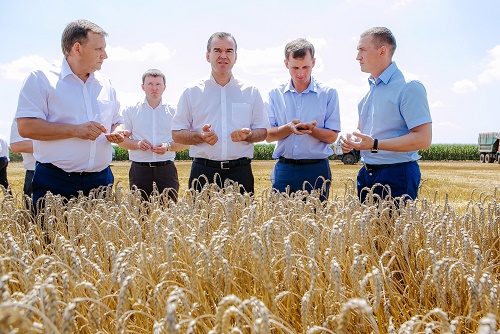 Урожай зерновых, зернобобовых и риса на Кубани составил 14,5 млн тонн