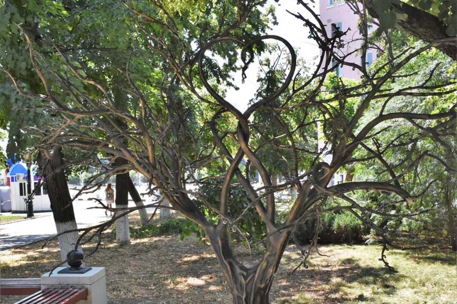 Образцовые армавирские семьи украсили своими именами лепестки на «Дереве Любви»