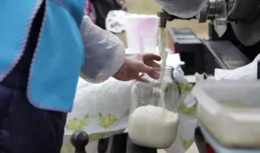 В Армавире будут реализовывать качественное молоко