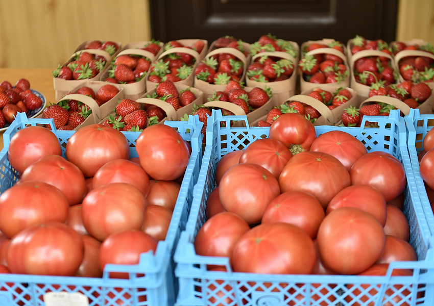Фермеры Кубани каждый день реализуют около 70 тонн овощей