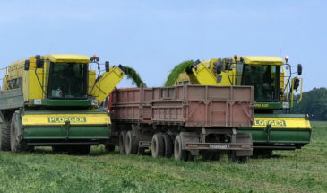 Предприятию из Крымского района помогут внедрить бережливое производство