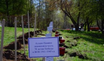 В Армавире по улице Полины Осипенко неизвестные разорили аллею памяти, которую накануне во дворе дома № 93 обустроили его жильцы