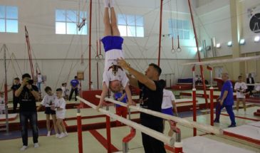 Спортсмены из Армавира стали участниками мастер-класса олимпийского чемпиона Алексея Немова