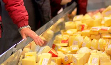 В Армавире уничтожили контрафактный сыр из Германии и Польши