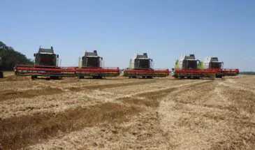 Сельхозпредприятие Кубани повысило выработку на 40% благодаря нацпроекту «Производительность труда»