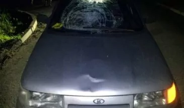 Армавирский водитель сбил школьницу на улице Каспарова