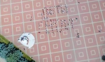 Патриотическая акция «Мы помним» прошла в Армавире