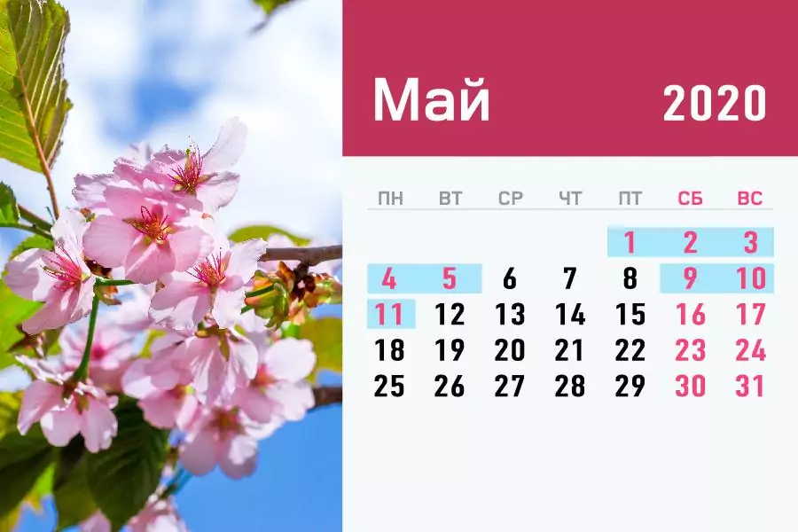 Жители Кубани будут отдыхать на майские праздники 8 дней