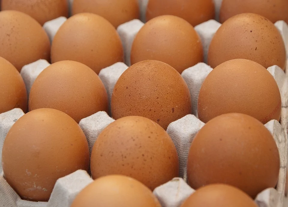 Министерство сельского хозяйства объяснило рост цен яиц