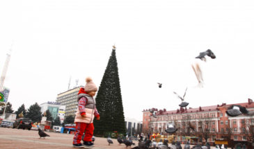 В Армавире установили главную елку на центральной площади