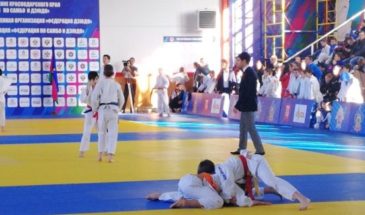 В Северном микрорайоне за год планируют построить Центр единоборств.