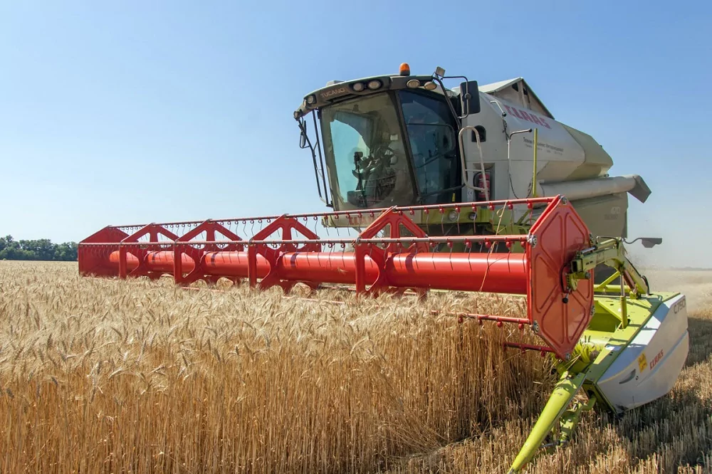Армавирские аграрии в этом году собрали 41 тысячу тонн озимых пшеницы и ячменя
