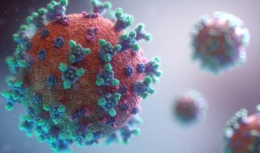 В Армавире за сутки зафиксирован один случай COVID-19