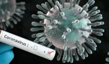 В Армавире 56 человек заразились коронавирусом