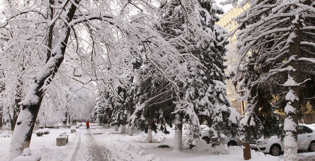 В Краснодарском крае прогнозируют мороз до 22 градусов
