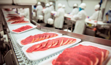 Кубанский мясокомбинат применит методики бережливого производства