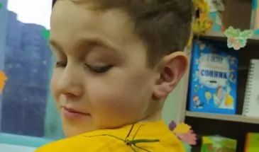 В детской библиотеке появился живой уголок с экзотическими насекомыми