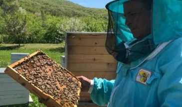 Пчеловод Михаил Мищенко рассказал, как устроена пчелиная семья, с каким настроением нужно подходить к улью и мед каких сортов можно добыть под Армавиром