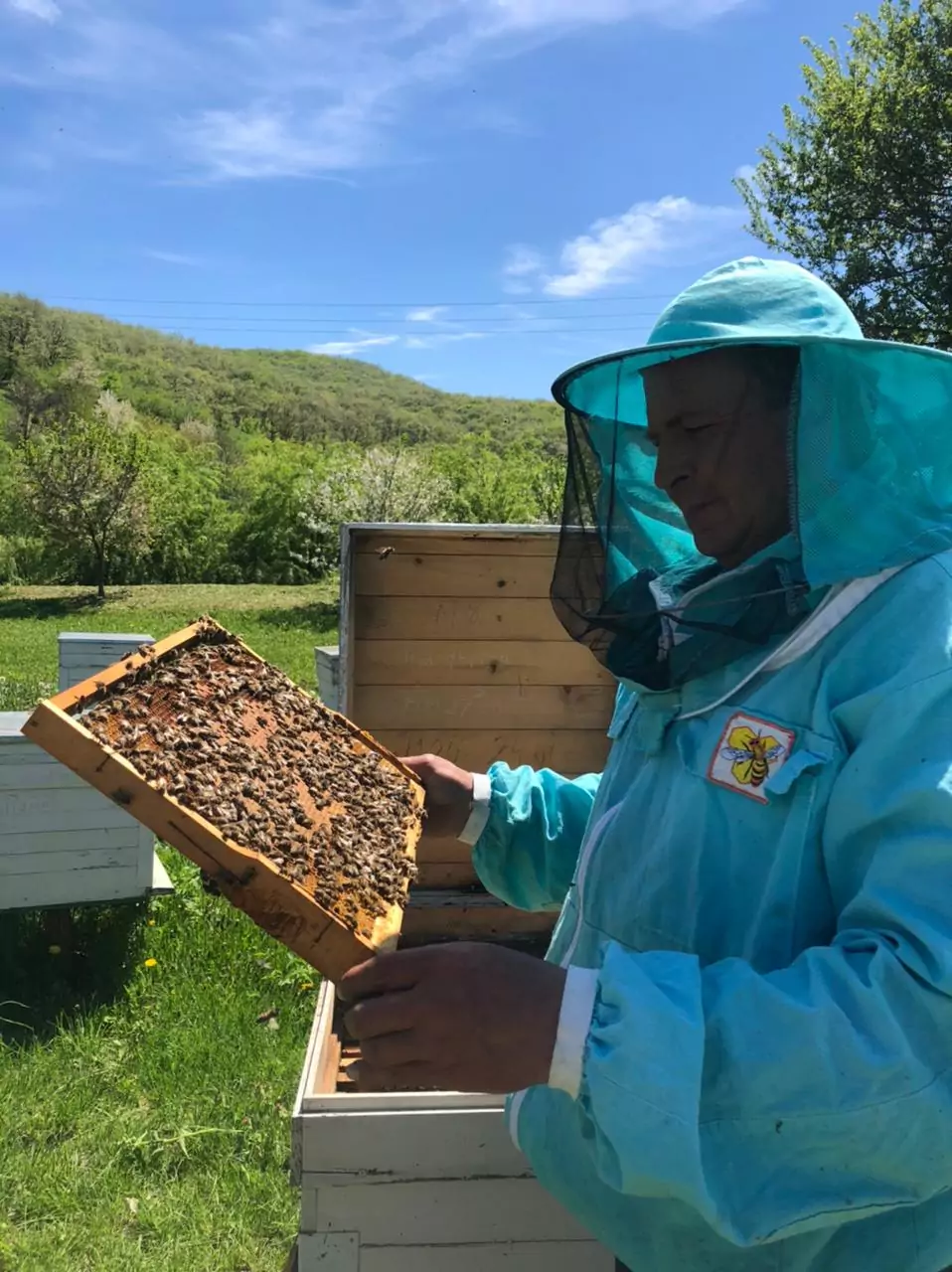 Пчеловод Михаил Мищенко рассказал, как устроена пчелиная семья, с каким настроением нужно подходить к улью и мед каких сортов можно добыть под Армавиром