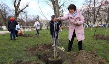 На краевом конкурсе Законодательного Собрания края выбрали три лучших ТОСа Армавира