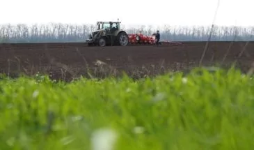 Полностью посевную кампанию на Кубани планируют завершить в апреле-мае