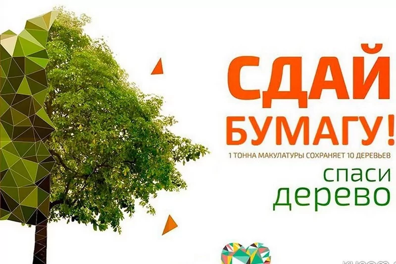 В Армавире стартовал экомарафон Переработка «Сдай макулатуру – Спаси дерево!»