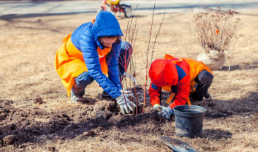 В Армавире продолжаются субботники