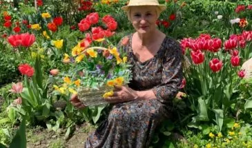 Тюльпаны на своем участке Татьяна Плешкунова подбирает так, что они цветут до лета