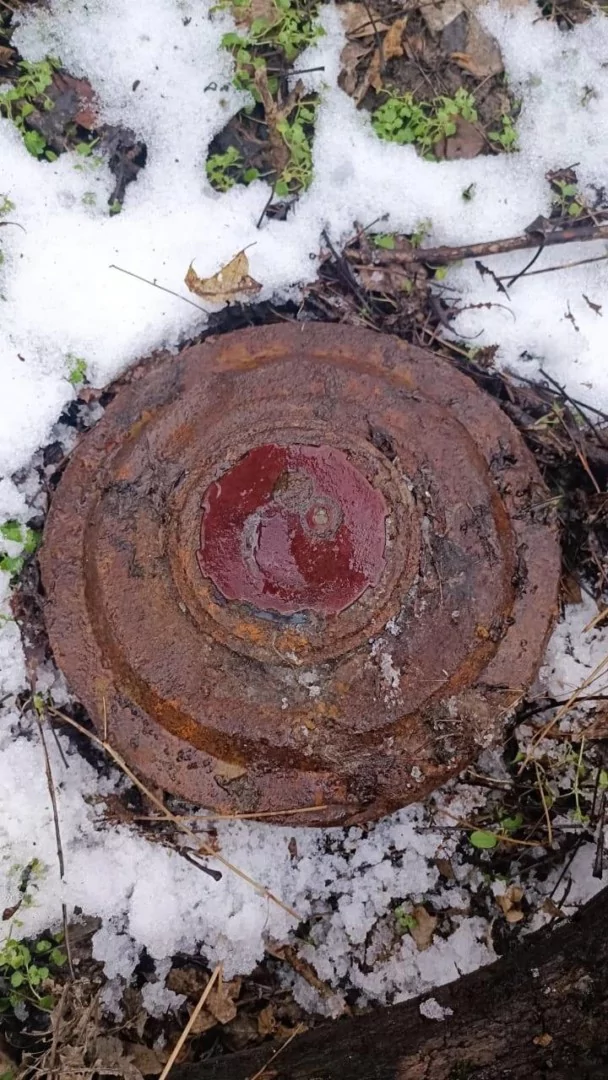 В Городской роще обнаружили учебную противотанковую мину