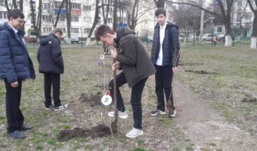 Ученики школы № 19 высадили «Сад памяти»