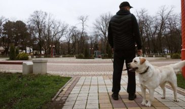 4 000 рублей лишилась армавирка из-за объявления в ВКонтакте